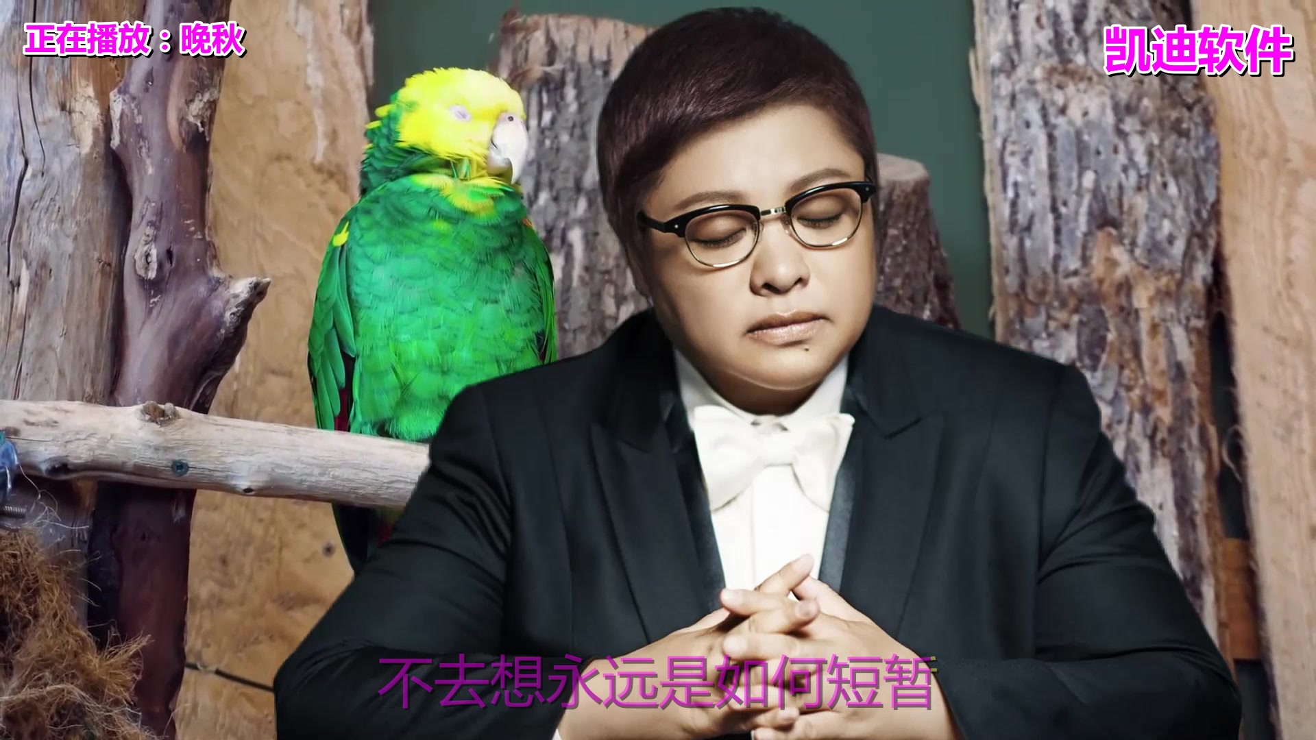 千年mp3下载-(千年mp3免费下载)