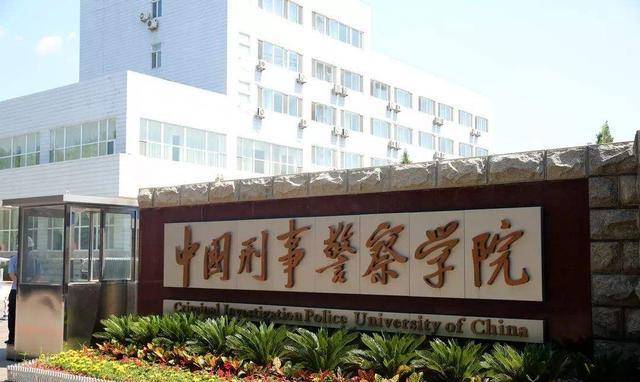 警校题材视频素材下载大全_(警校题材视频素材下载大全最新)