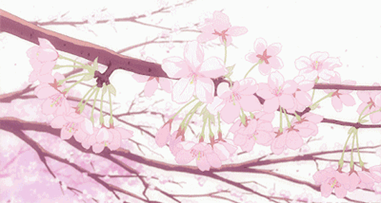 动态花瓣设计软件下载免费_(动态花瓣设计软件下载免费版)