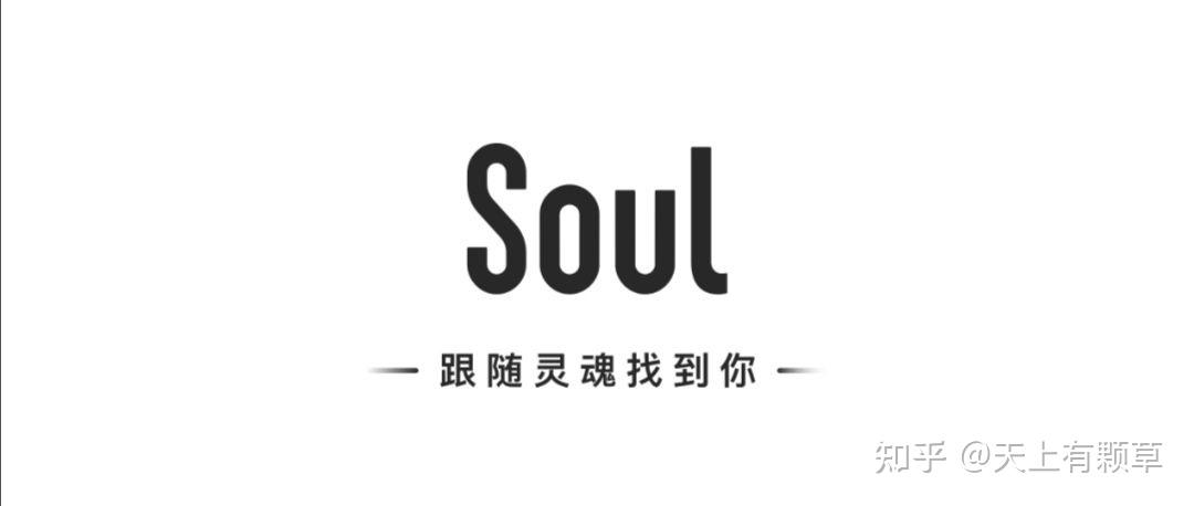 soul安卓版下载(soul网页版登录入口)